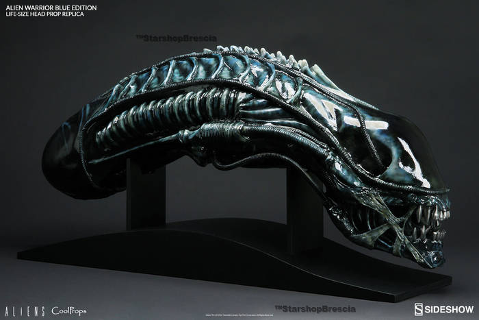 現品 SIDESHOW LIFE-SIZE HEAD ALIEN WARRIOR サイドショウエイリアン