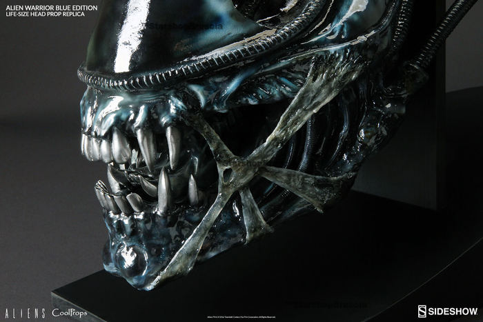 現品 SIDESHOW LIFE-SIZE HEAD ALIEN WARRIOR サイドショウエイリアン